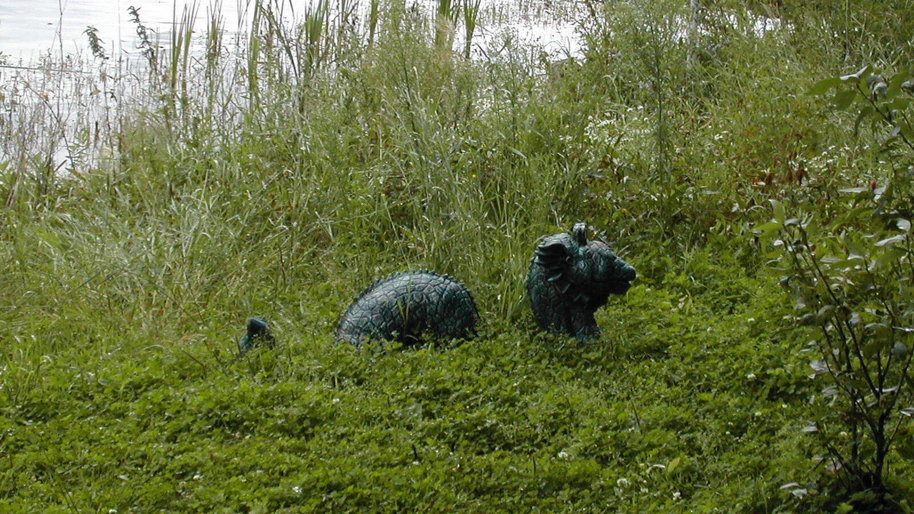 Photo of Others in Shell Lake