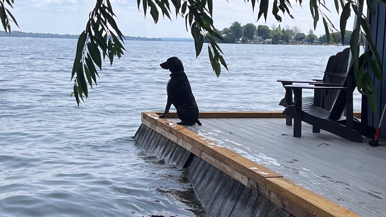 Photo of Others in Innisfil
