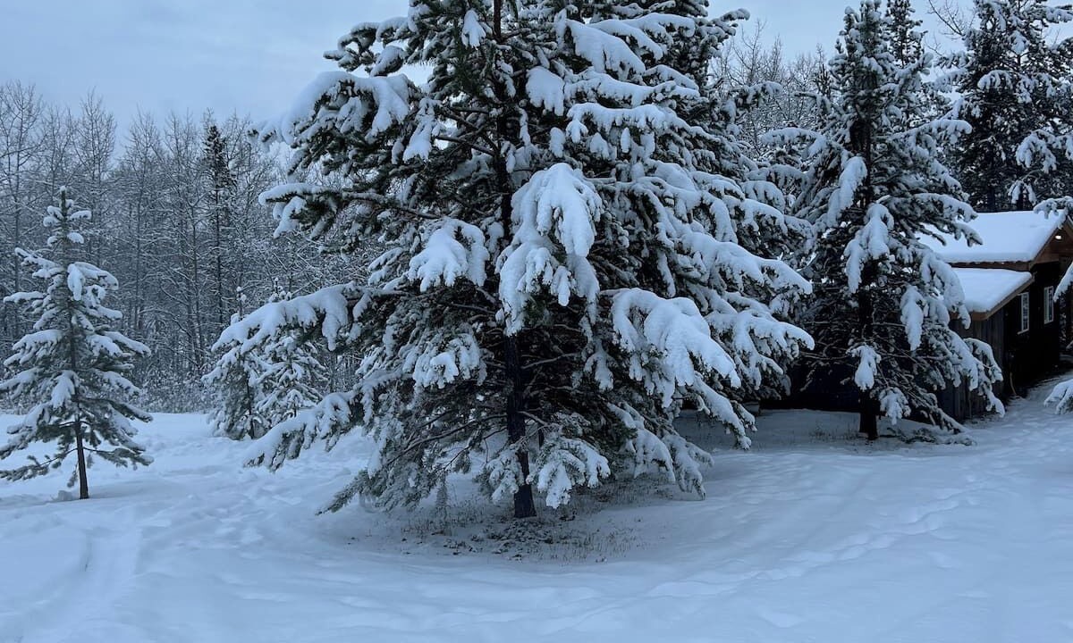 Photo of Outdoor in Lone Butte