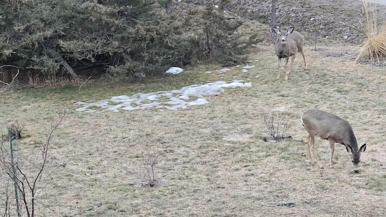 Photo of Others in Windermere