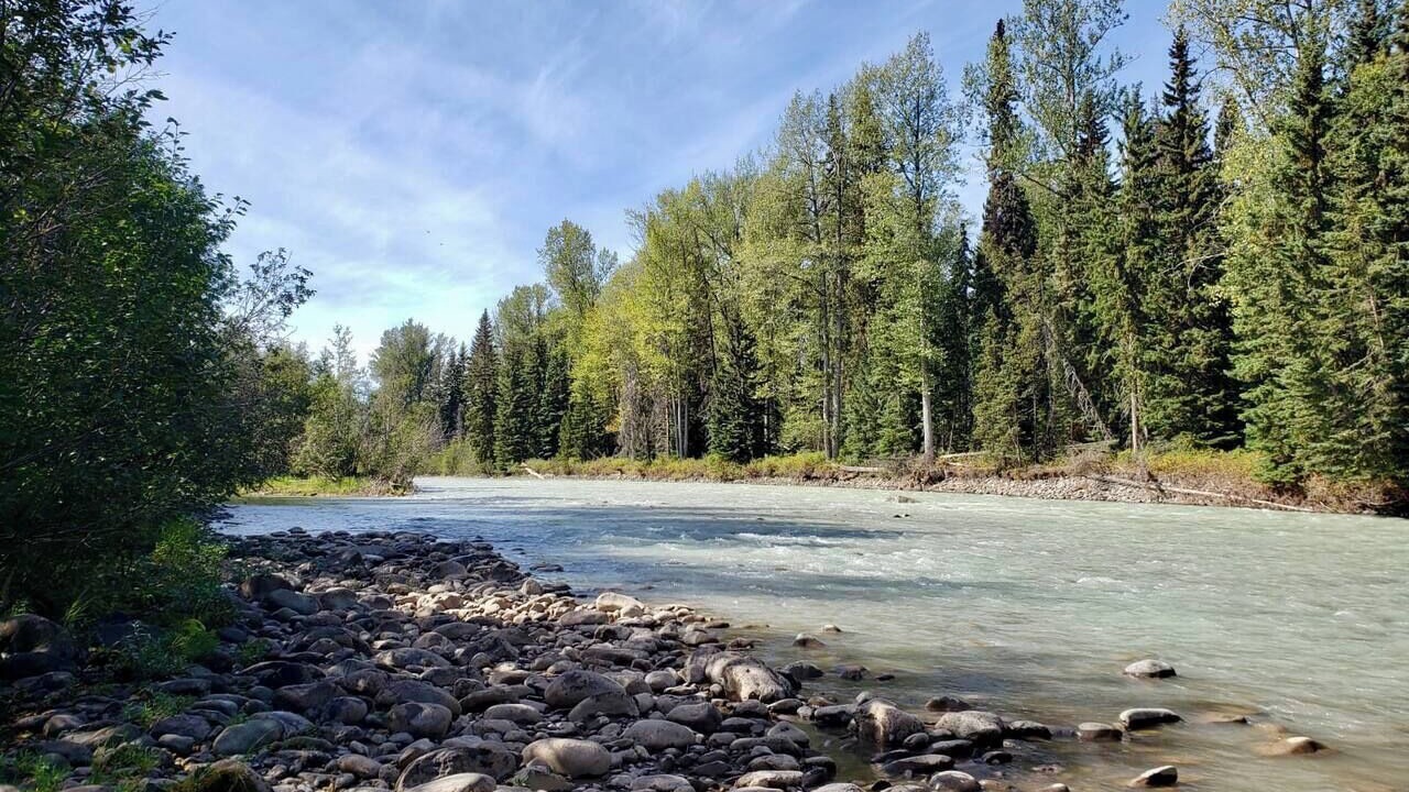 Photo of Others in Telkwa