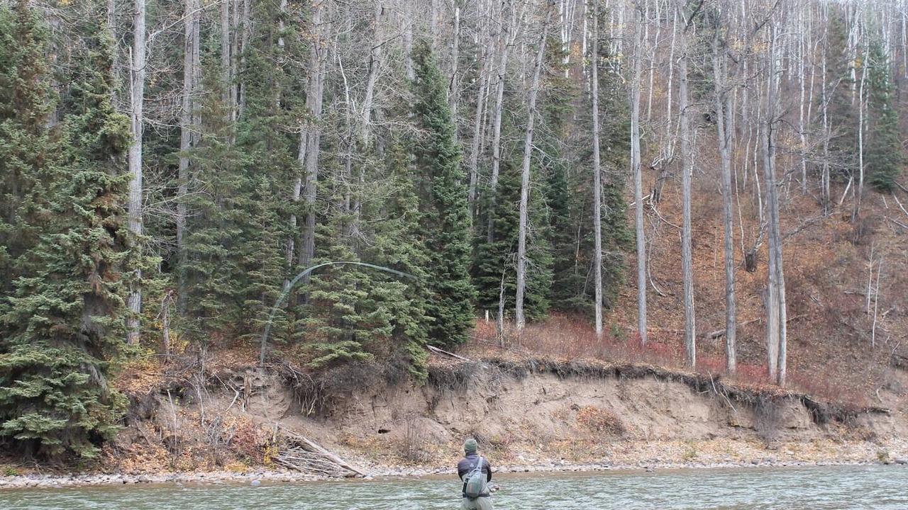 Photo of Others in Telkwa