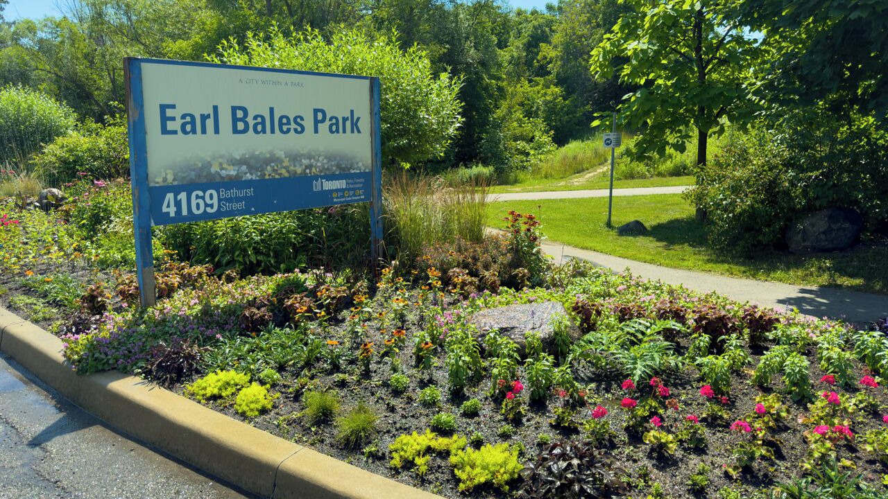 Photo of Outdoor in North York