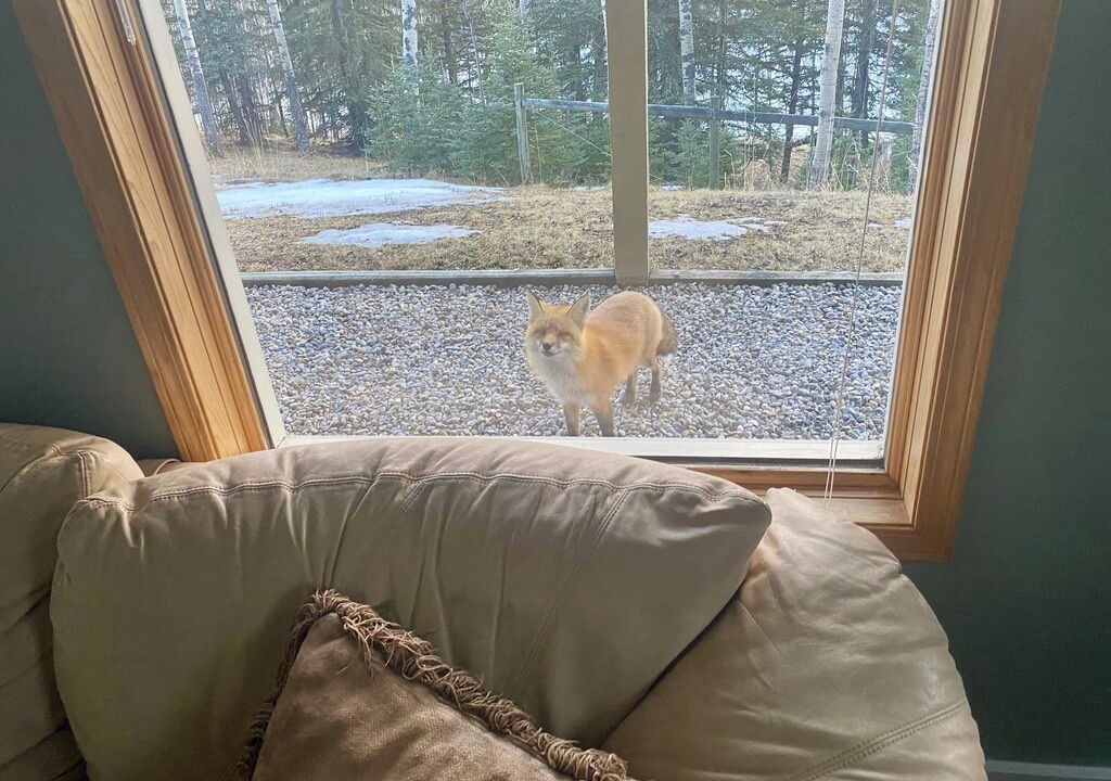 Photo of Others in Bragg Creek