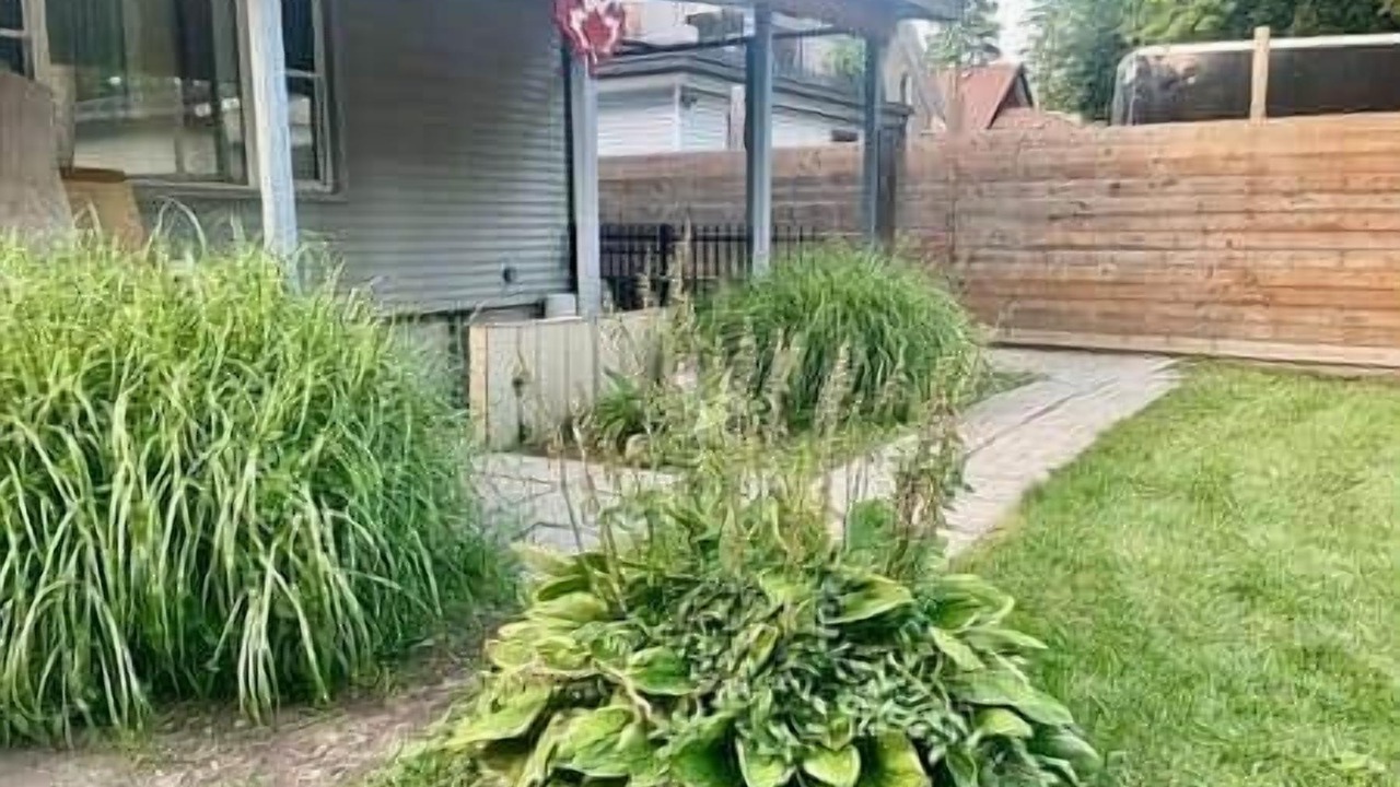 Photo of Others in Kitchener
