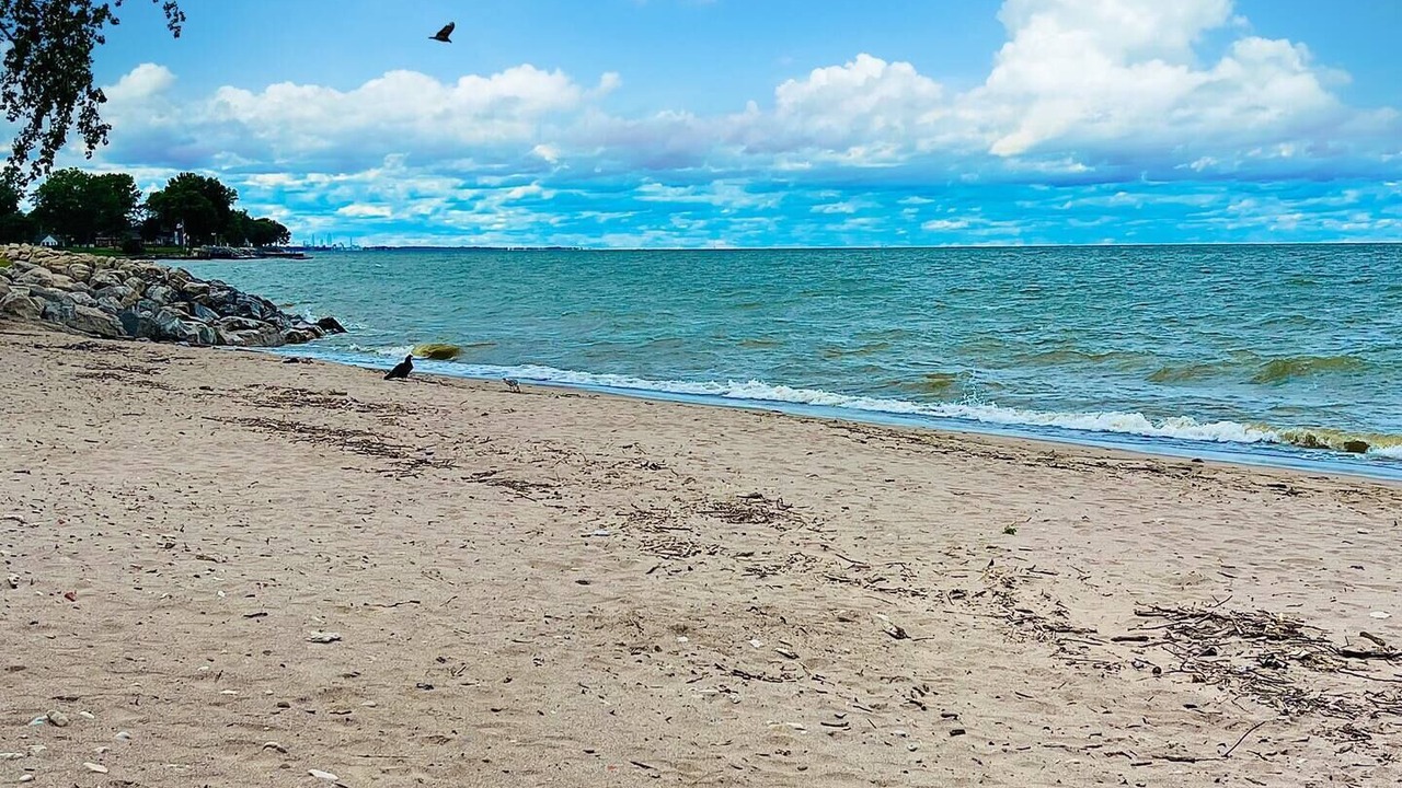Photo of Others in Huron