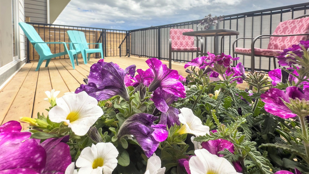 Photo of Patio Balcony in Keith