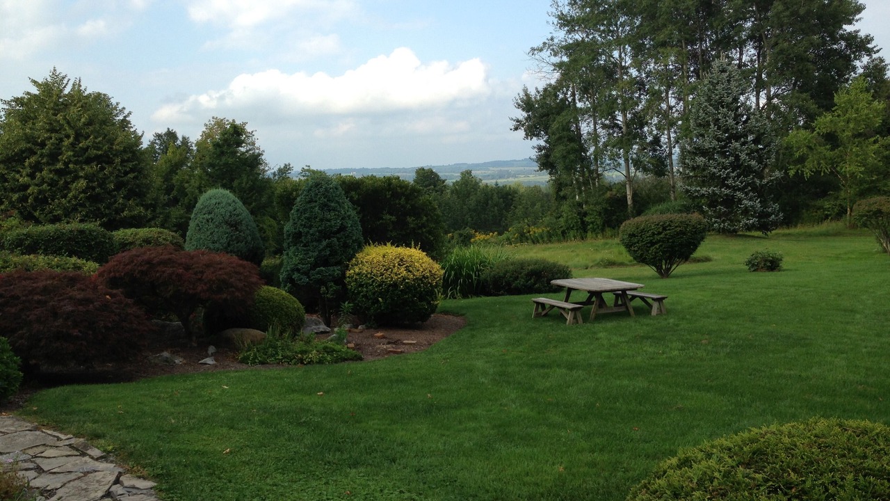 Photo of Others in Skaneateles