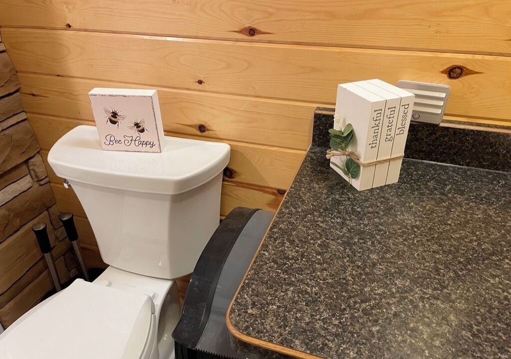 Photo of Bathroom in Falcon Lake