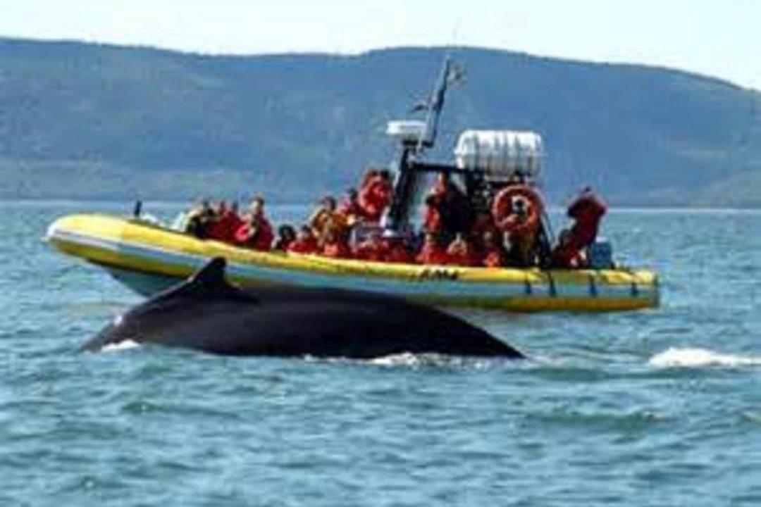 Photo of Others in Tadoussac