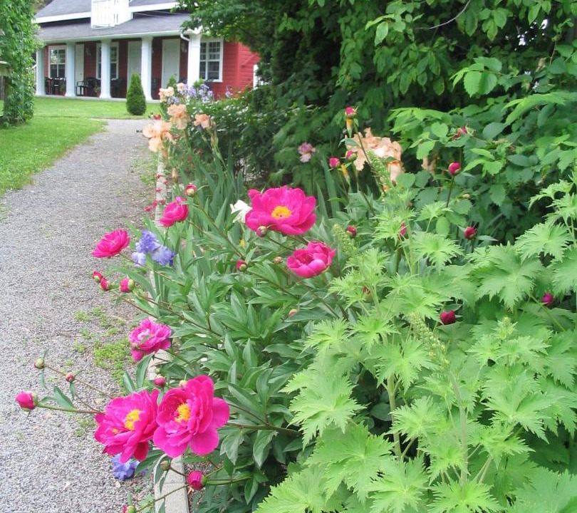 Photo of Others in Baie-St-Paul