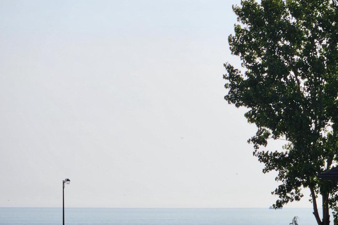 Photo of Others in Central Huron