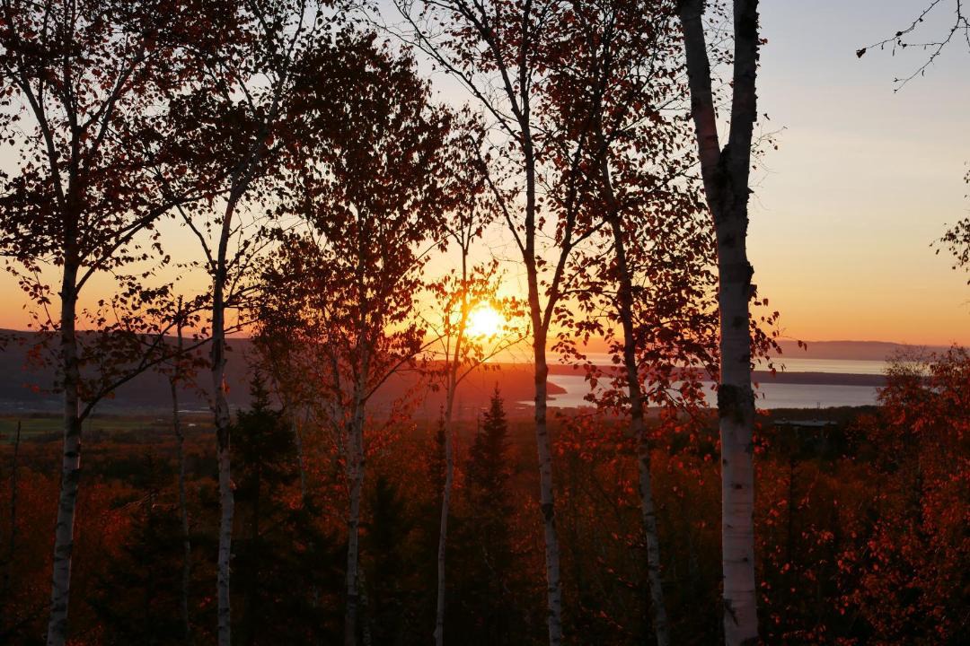 Photo of Others in Baie-St-Paul