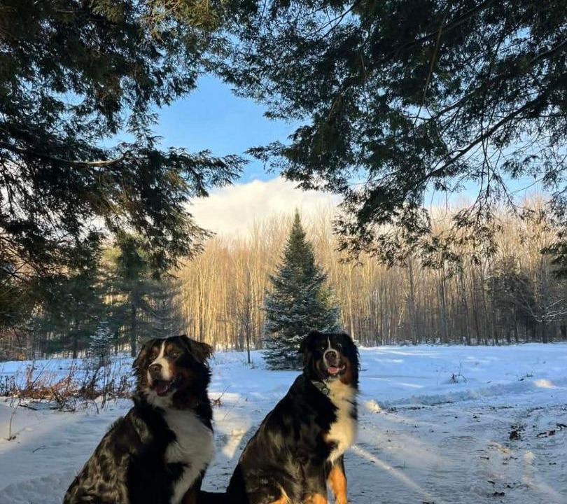 Photo of Others in Bromont
