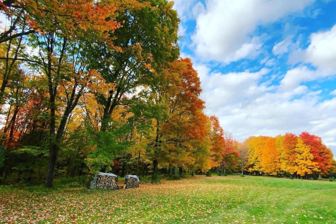 Photo of Others in Bromont