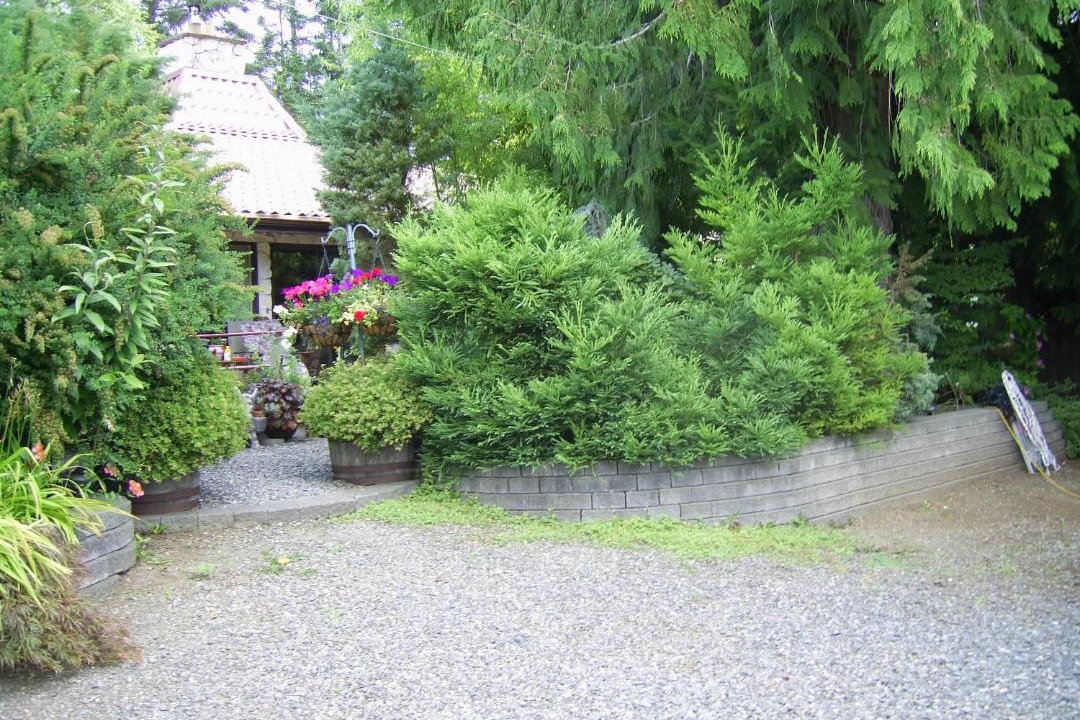 Photo of Others in Courtenay