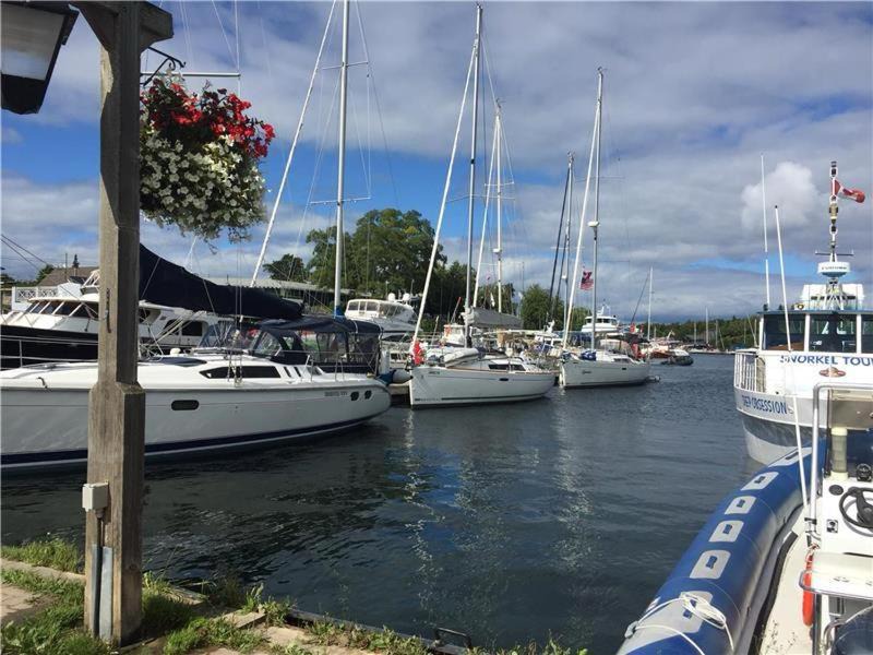 Photo of Others in Tobermory