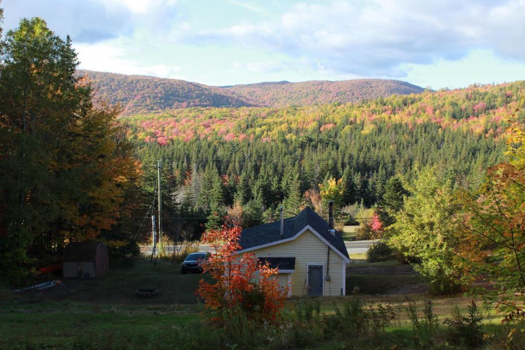 Photo of Others in Tarbot