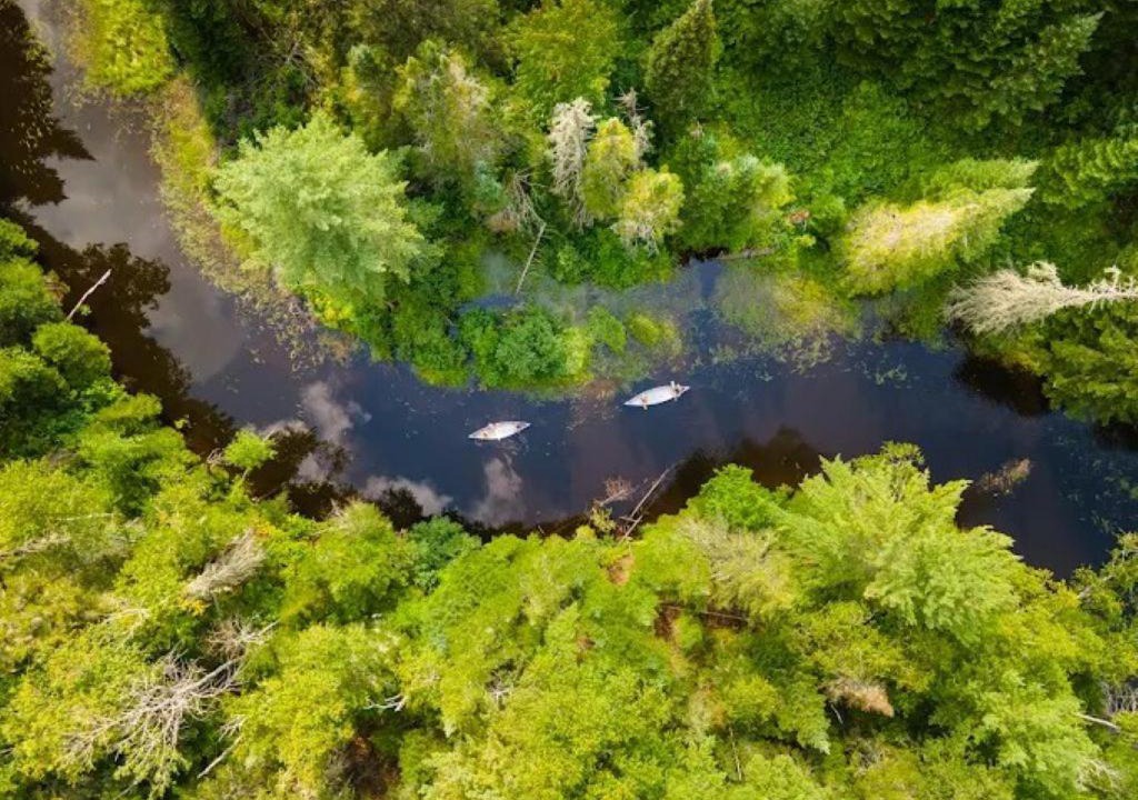 Photo of Others in Mauricie