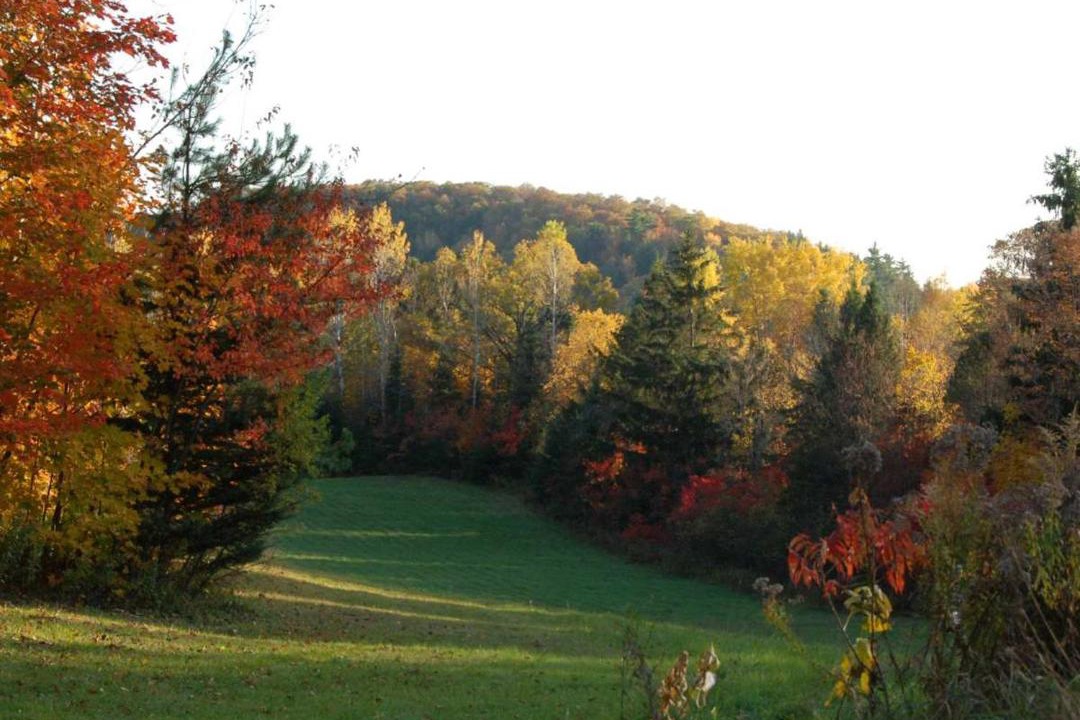 Photo of Others in La Peche