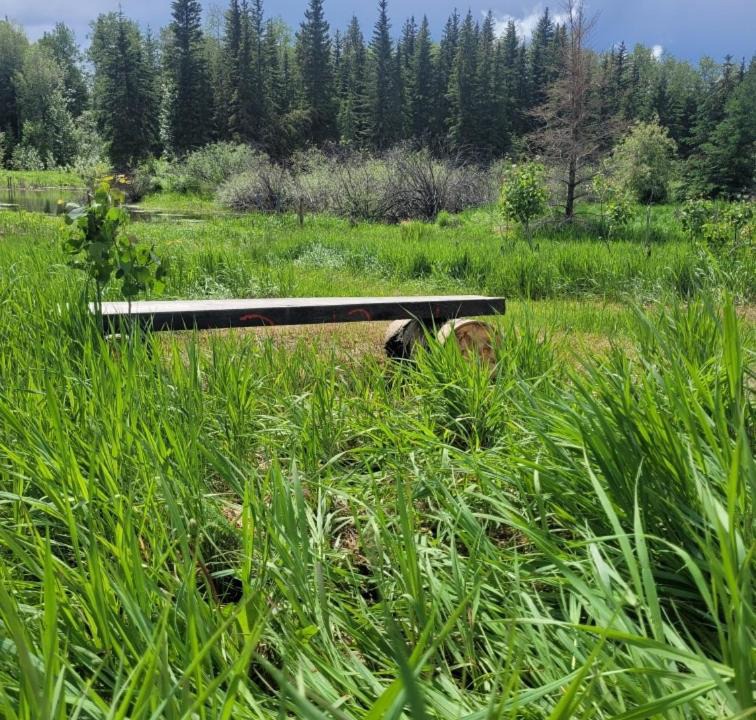 Photo of Others in Northern Alberta
