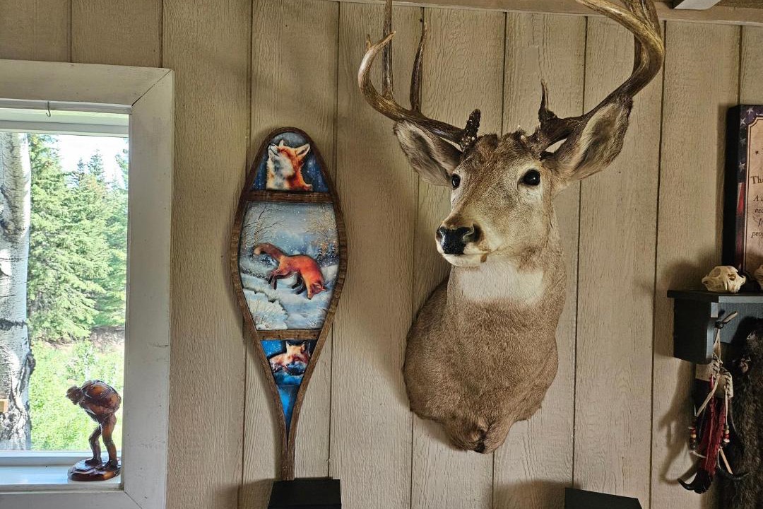 Photo of Others in Northern Alberta