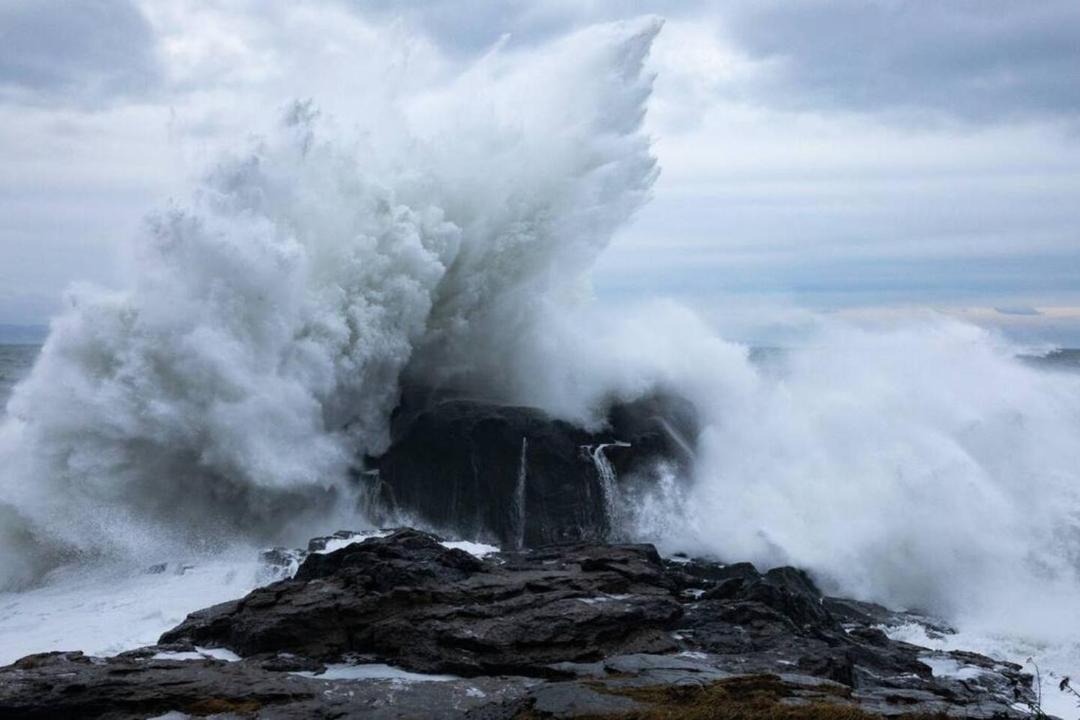 Photo of Others in Port Renfrew