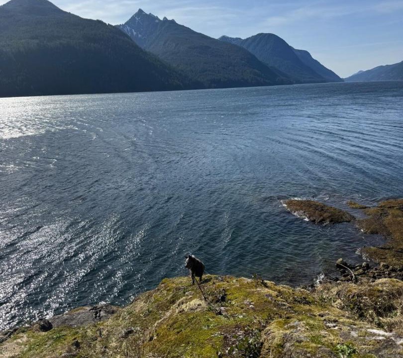 Photo of Others in Tahsis