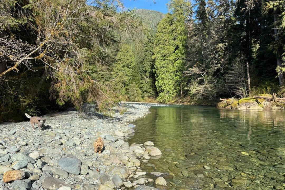 Photo of Others in Tahsis