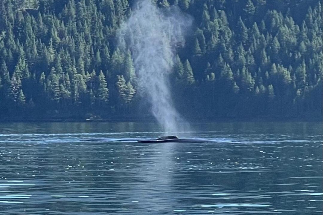 Photo of Others in Tahsis