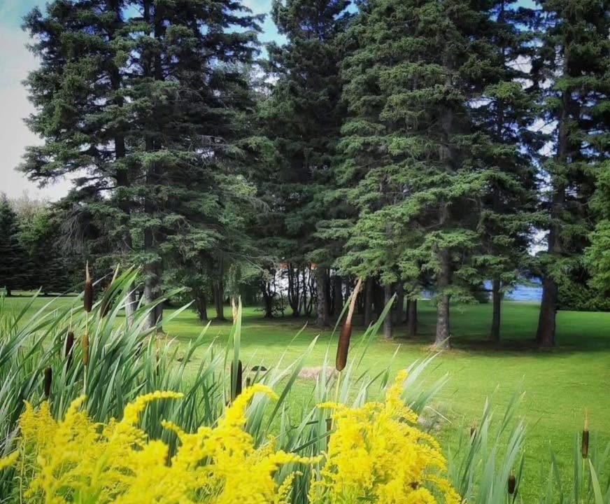Photo of Others in Roberval