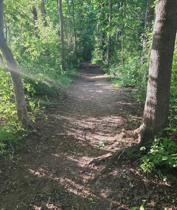 Photo of Others in Brampton