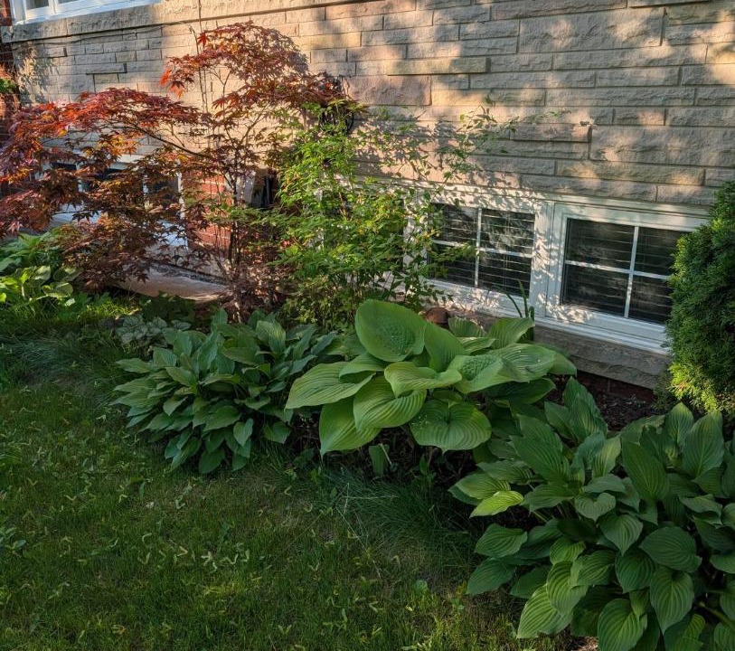 Photo of Others in Rockcliffe - Smythe