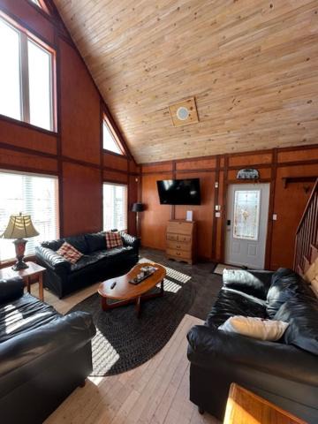 Photo of Others in Terra Nova