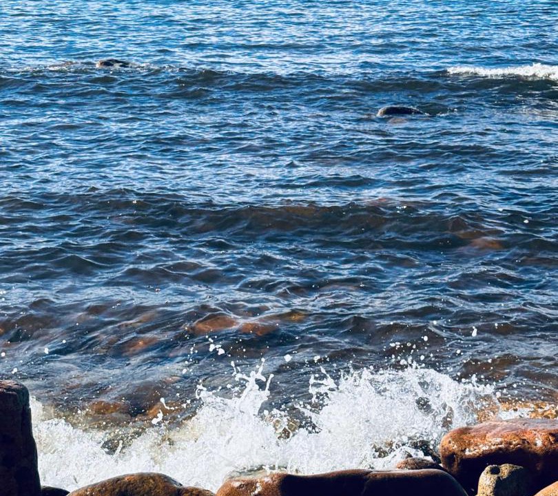 Photo of Others in White Point