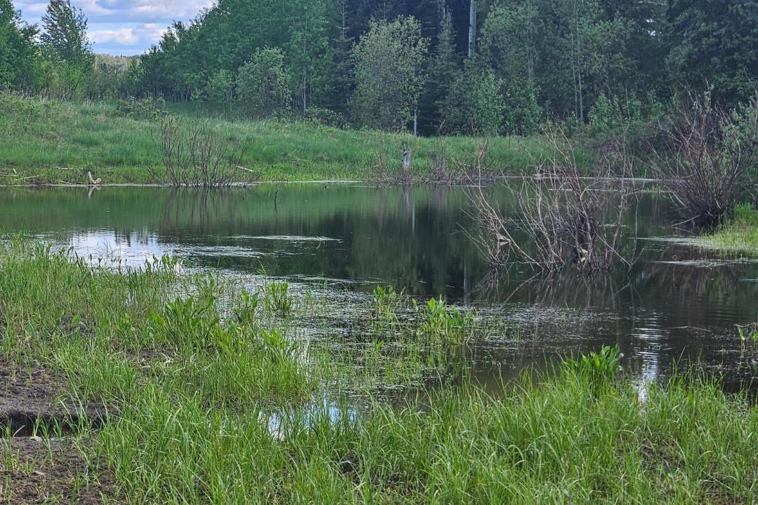 Photo of Others in Northern Alberta