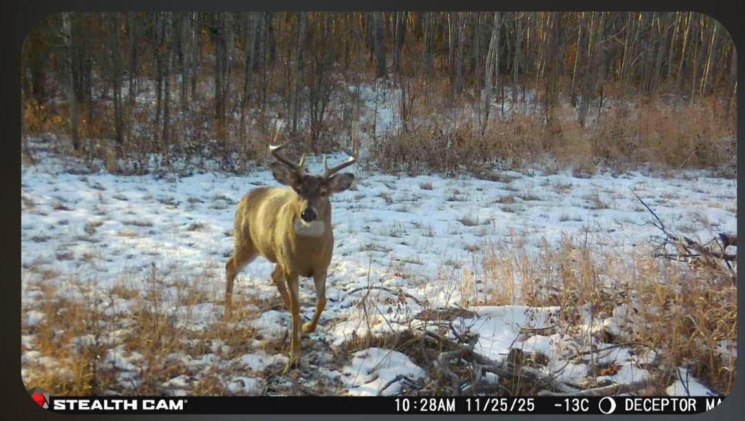 Photo of Others in Northern Alberta
