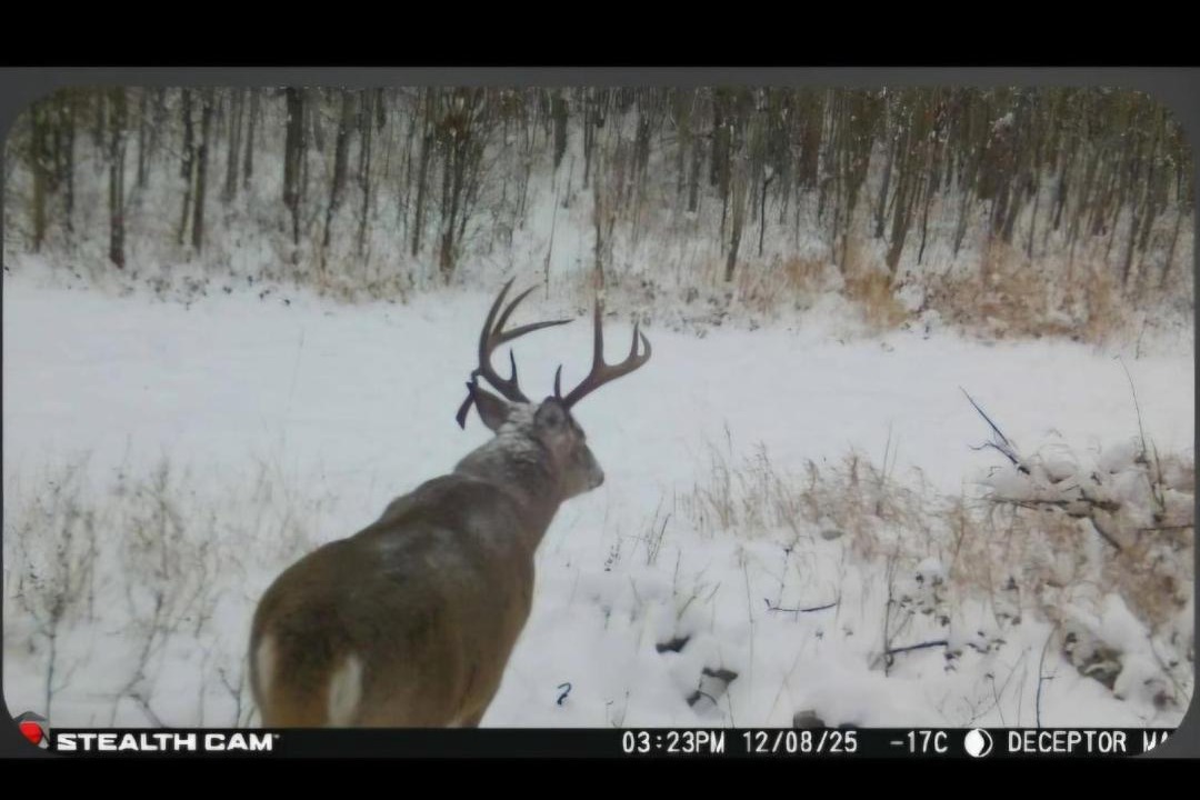 Photo of Others in Northern Alberta