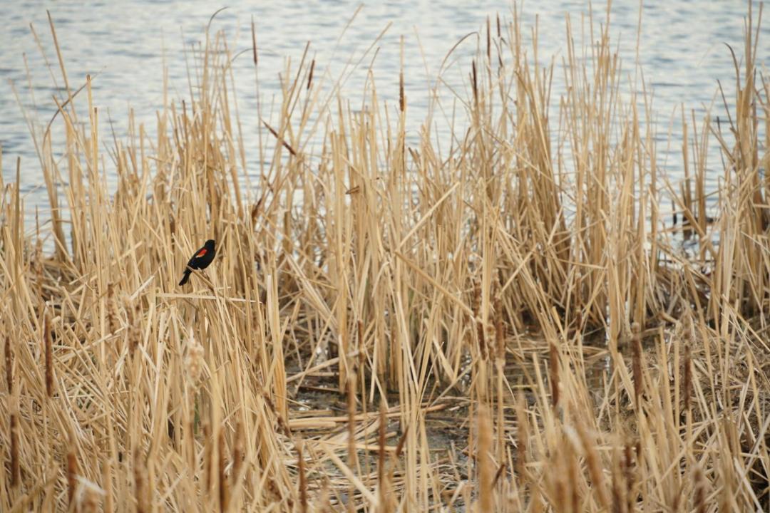 Photo of Others in Portage La Prairie