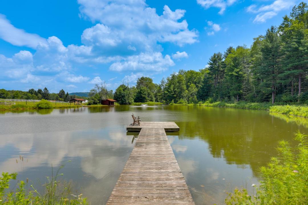 Photo of Others in Spring Creek