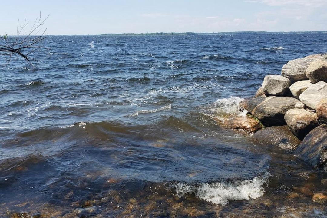 Photo of Others in Waubaushene