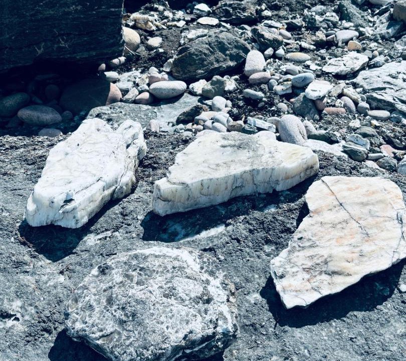 Photo of Others in White Point