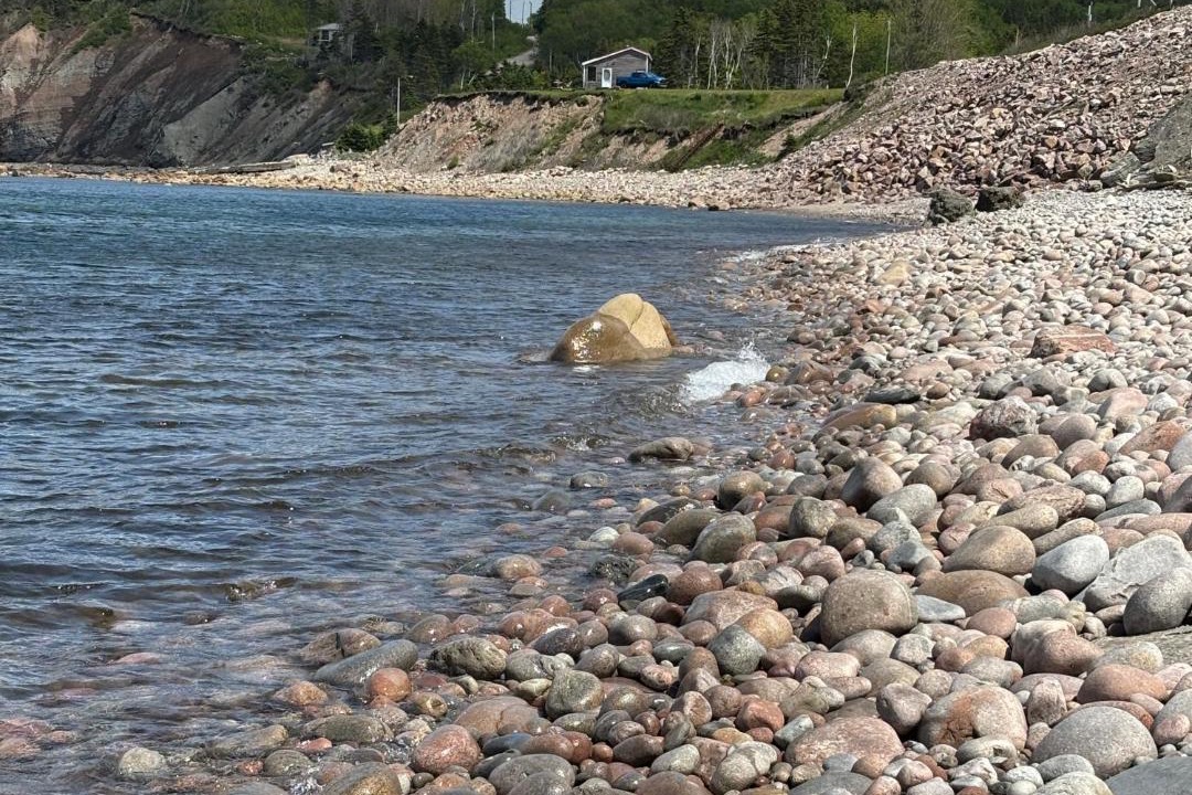 Photo of Others in White Point