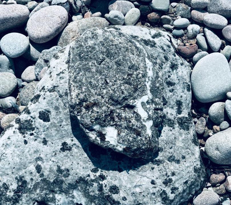 Photo of Others in White Point