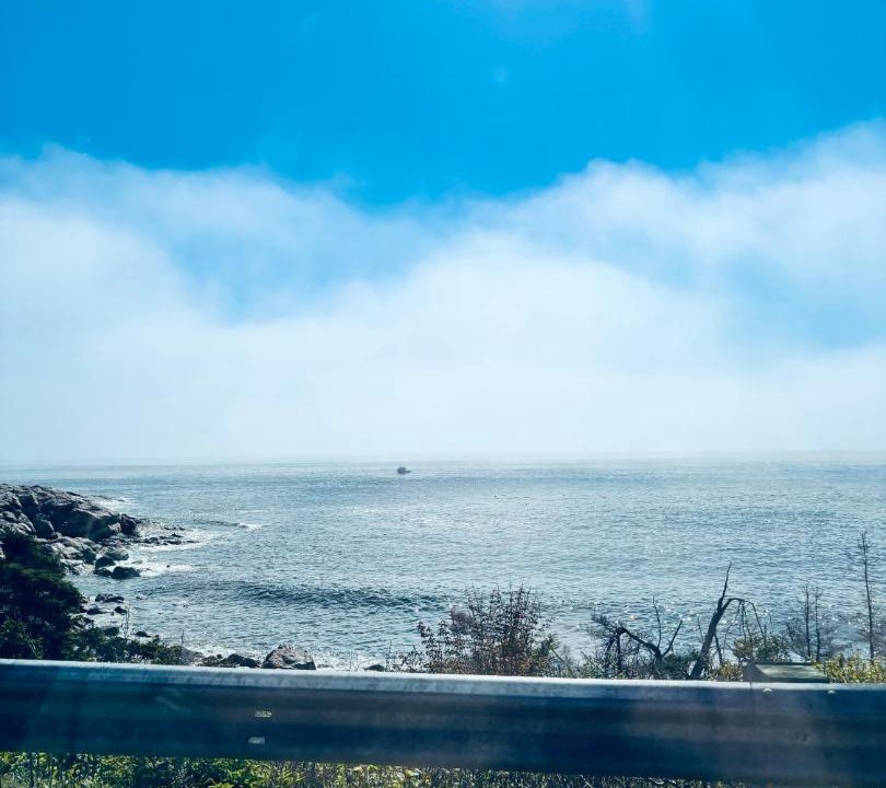 Photo of Others in White Point