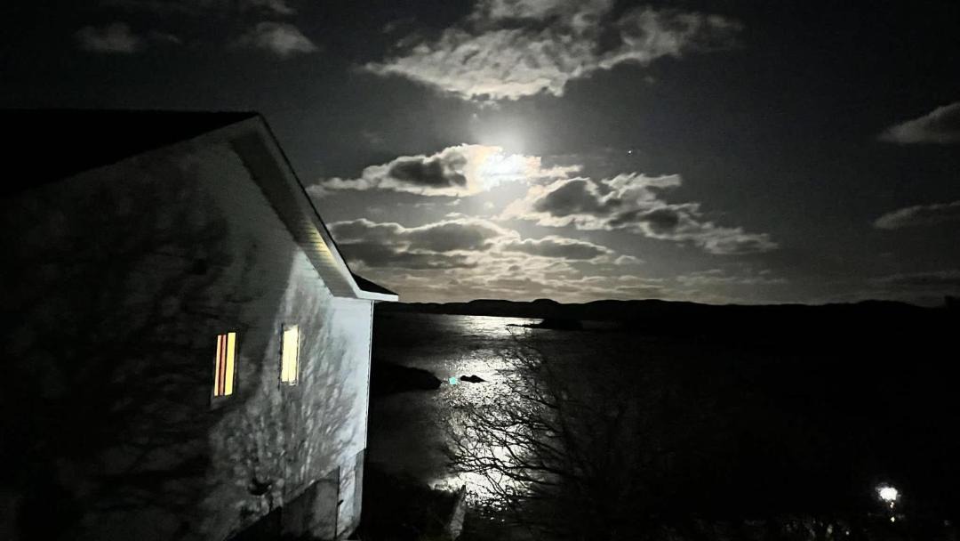 Photo of Others in Little Harbour