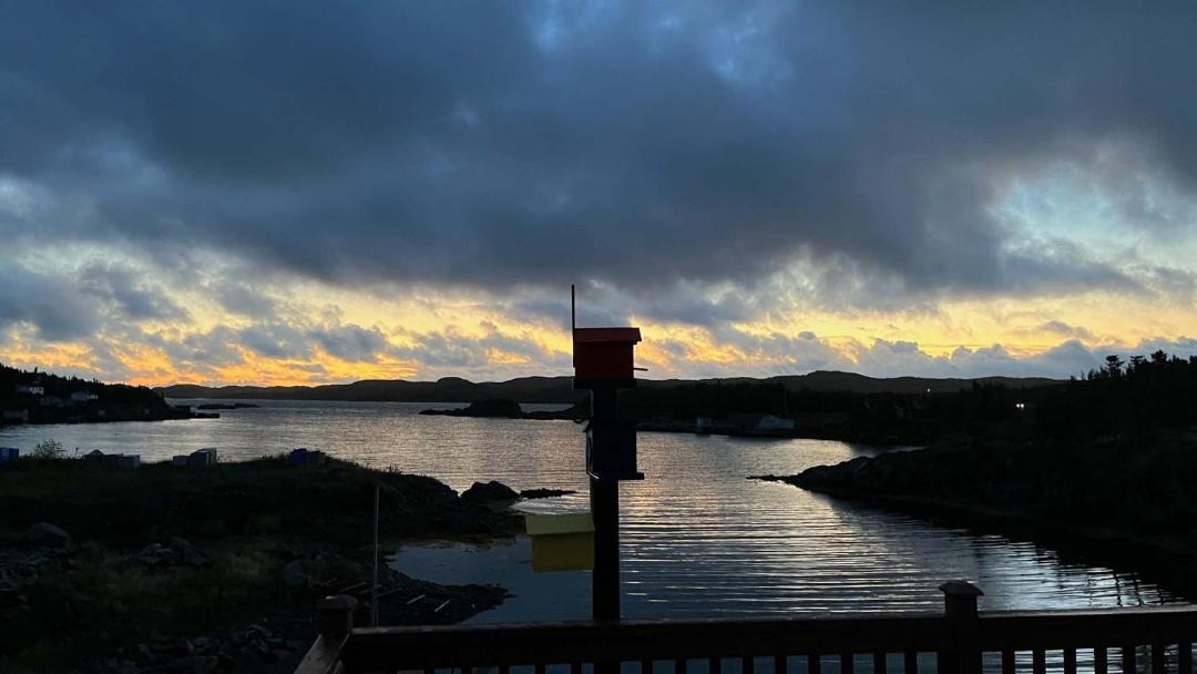 Photo of Others in Little Harbour