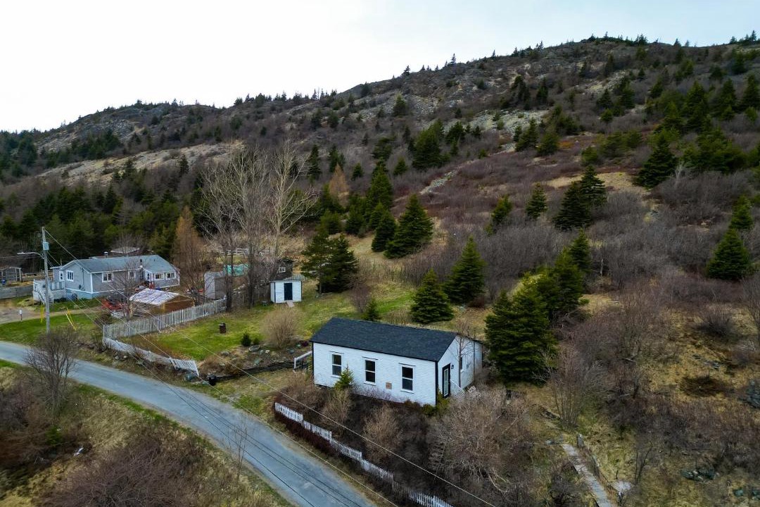 Photo of Others in Brigus
