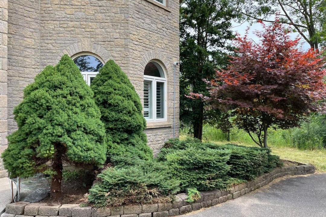 Photo of Others in Welland