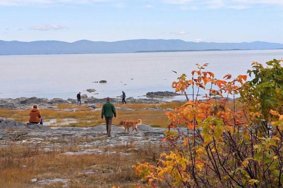 Photo of Others in Cap-Saint-Ignace